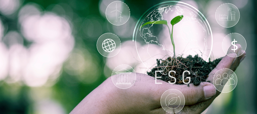 Environmental, Social and Governance (ESG): What small businesses need to know